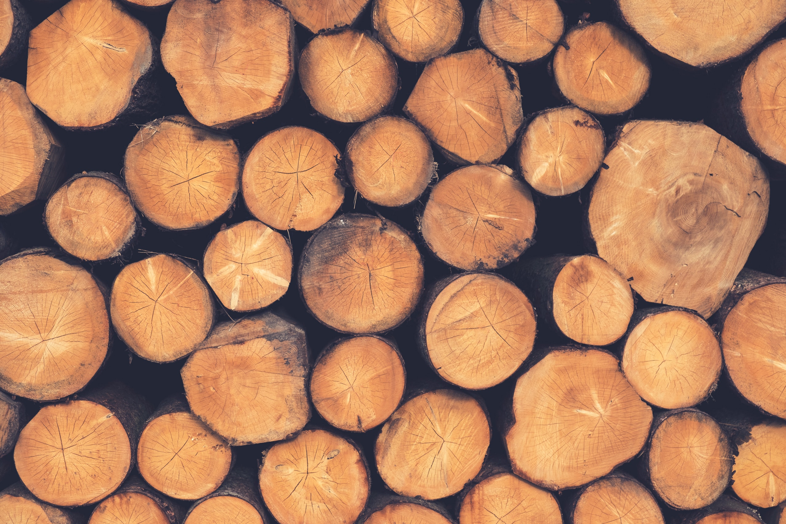 holzlager