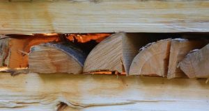 Wie lange sollte Brennholz trocknen