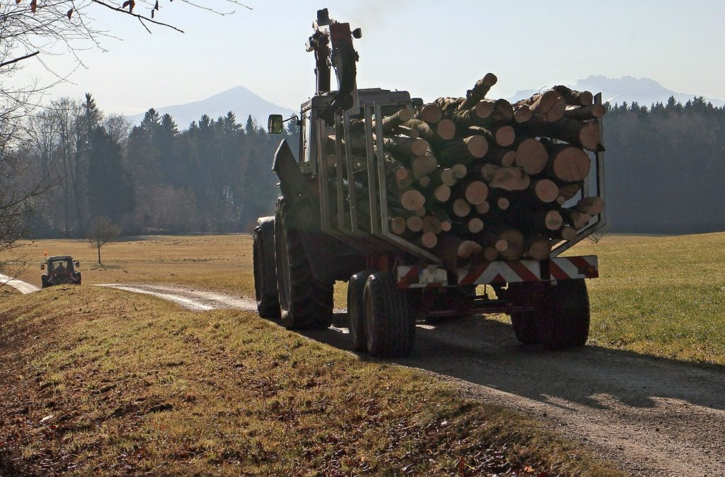 Kaminholz vom örtlichen Holzhof oder Forstamt kaufen